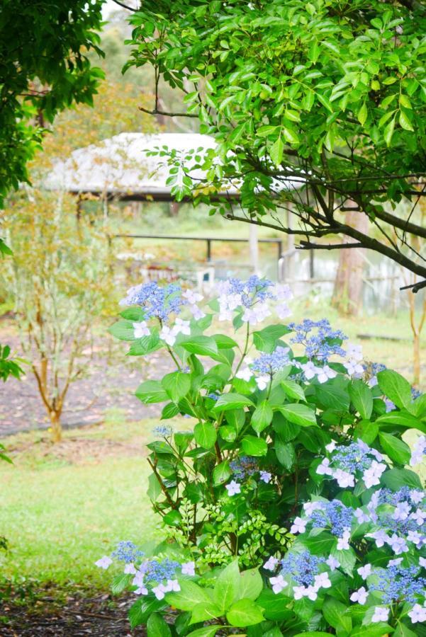 True North - 4Br Home & Garden In Bush Setting With Huge Bath Bilpin Exteriör bild